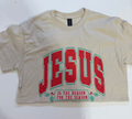 CLEARANCE SALE -  JESUS IS THE REASON TEE